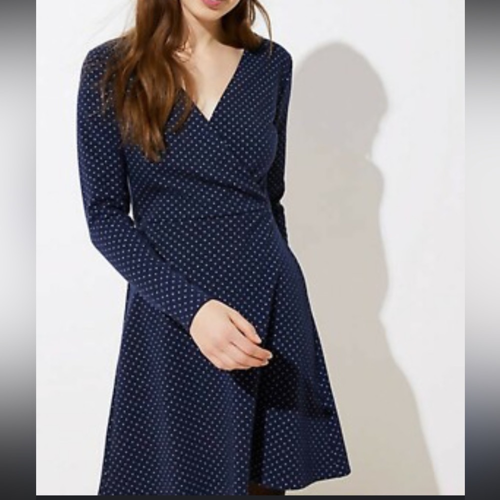 LOFT Navy Polka Dot Long Sleeve Dress